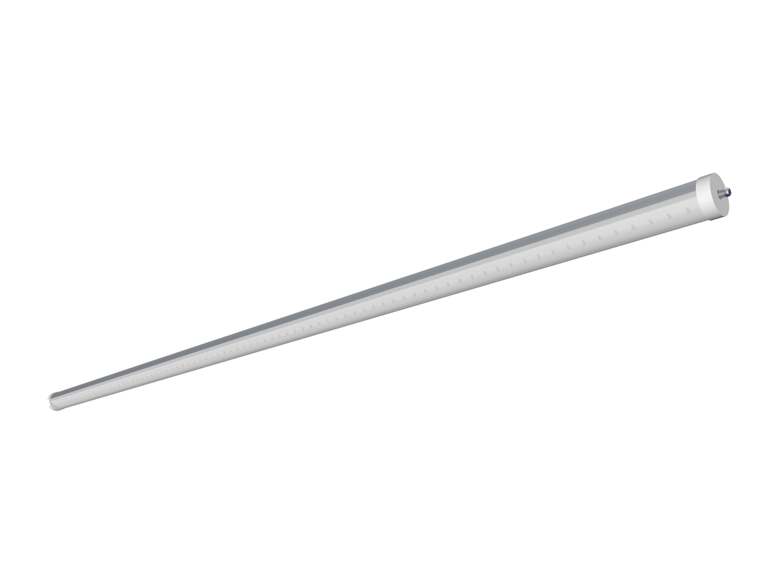 LY-T10