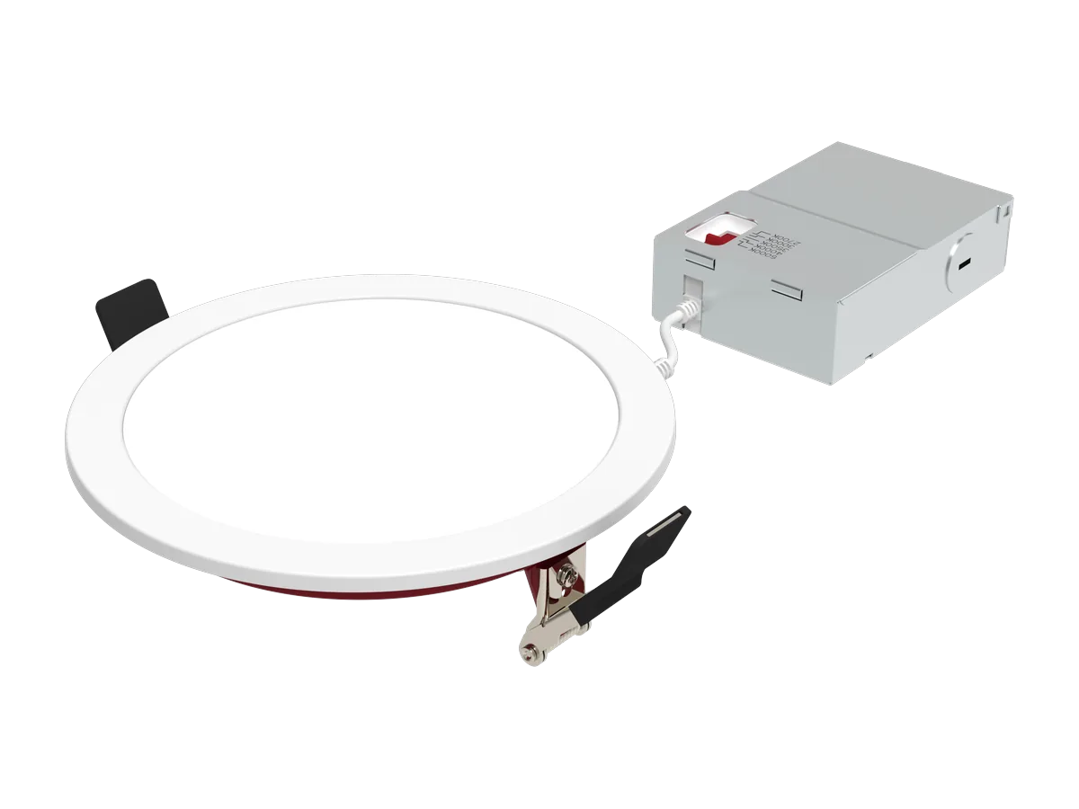 Radius SafeZone downlight